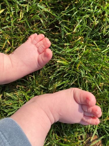 Stock Photo Baby Feet Grass (2).jpeg