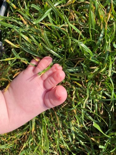 Stock Photo Baby Feet Grass (1).jpeg