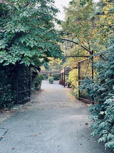 Stock Photo Botanical Gardens.jpeg