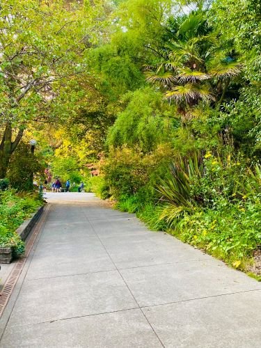 Stock Photo Greenery Sidewalk.jpeg