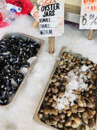 Stock Photo Oysters (1).jpeg