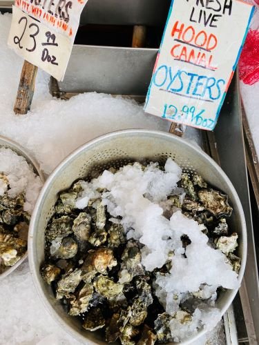 Stock Photo Oysters (2).jpeg
