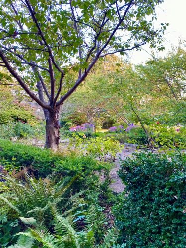 Stock Photo Park Garden.jpeg