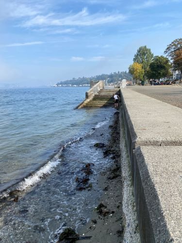 Stock Photo Sea Wall (1).jpeg