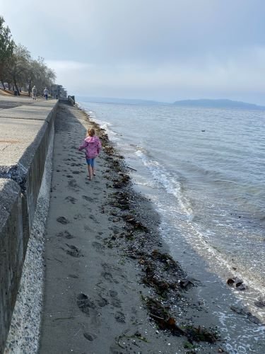 Stock Photo Sea Wall (2).jpeg