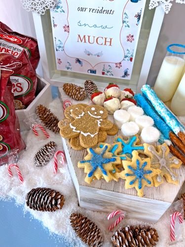 Stock Photo Winter Resident Love Cookies (4).jpeg