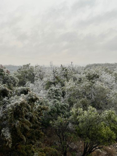 Stock Photo Winter Ice Storm Trees (4).jpeg