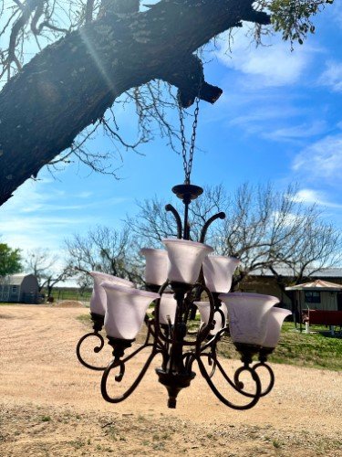 Stock Photo Rustic Chandelier Tree (1).jpg