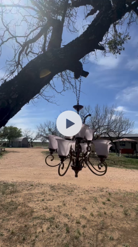 Stock Video Rustic Chandelier Tree (1).jpg