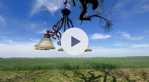 Stock Video Rustic Chandelier Tree (2).jpg