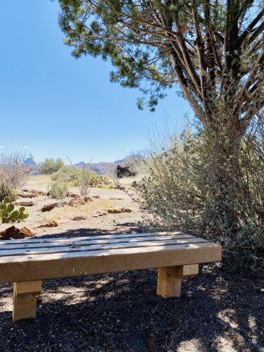 Stock Photo Desert Bench.jpeg
