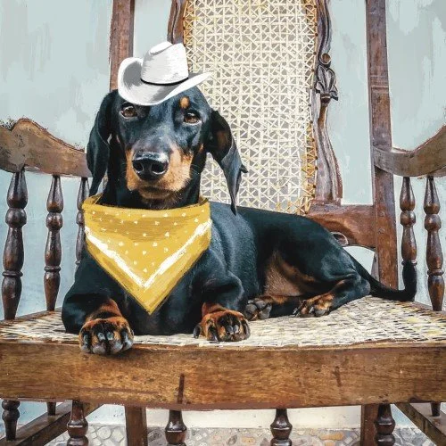 Western Illustrated Dog Bandana.jpg