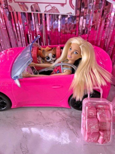 Stock Photo Pink Party Mock Up Barbie (3).jpeg