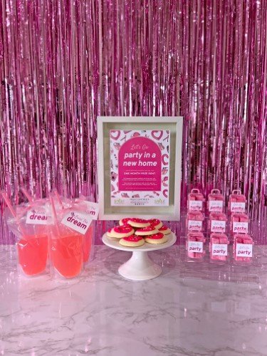 Stock Photo Pink Party To Go Snacks (2).jpg