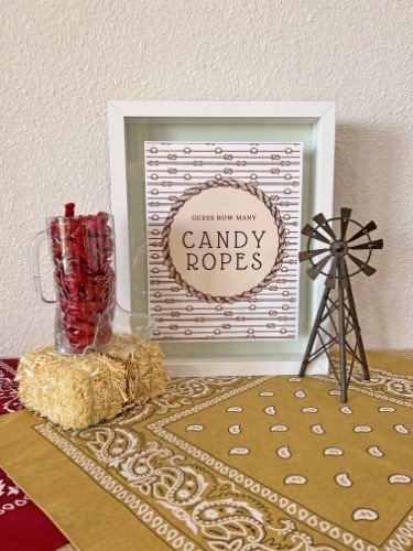 Stock Photo Western Guess How Many Ropes - 23 (1).jpeg