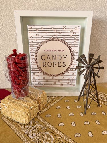 Stock Photo Western Guess How Many Ropes - 23 (5).jpeg
