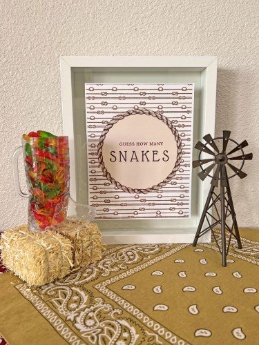 Stock Photo Western Guess How Many Snakes - 54.jpg