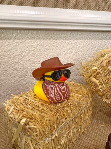 Stock Photo Western Party Hay Bale Duck (2).jpeg