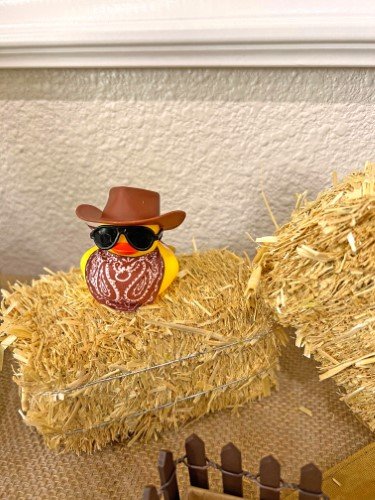 Stock Photo Western Party Hay Bale Duck (1).jpeg