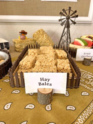 Stock Photo Western Party Hay Bales.jpeg