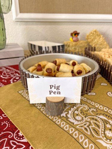 Stock Photo Western Party Pig Pen.jpeg