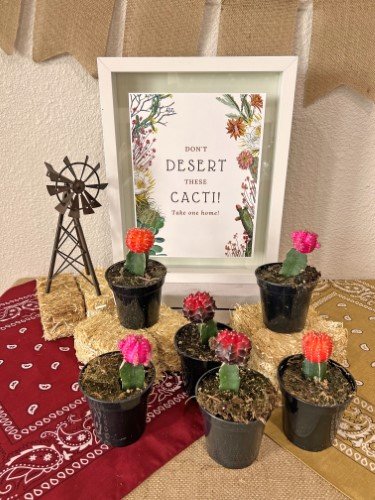 Stock Photo Western Party To-Go Cactus (2).jpeg