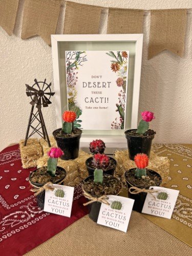 Stock Photo Western Party To-Go Cactus (3).jpeg