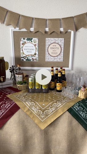 Stock Video Watering Hole Happy Hour 1.jpg