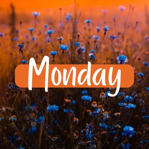 CAIG1998-Monday.jpg