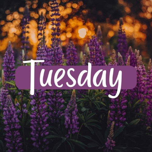 CAIG1999-Tuesday.jpg
