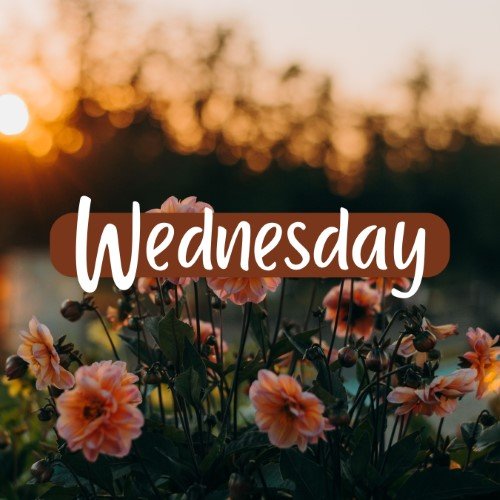 CAIG2000-Wednesday.jpg