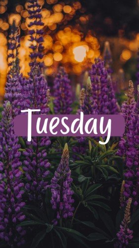 CAIGS1419-Tuesday.jpg