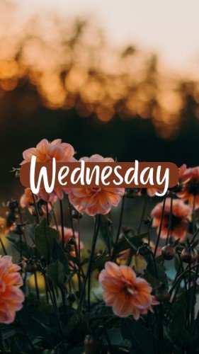 CAIGS1420-Wednesday.jpg