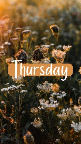 CAIGS1421-Thursday.jpg