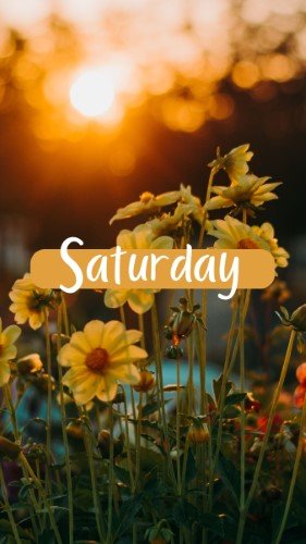 CAIGS1423-Saturday.jpg