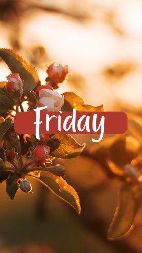 CAIGS1422-Friday.jpg