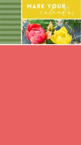 CAIGS1455-Summer Mark Your Calendar.jpg