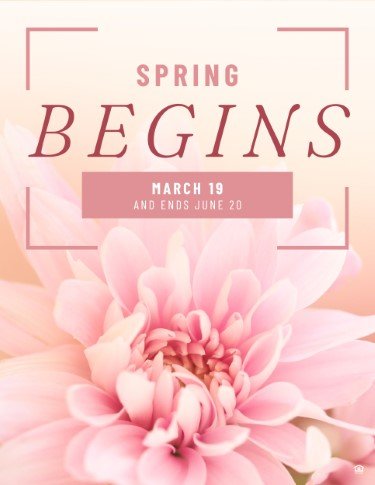 CA2453-Spring Begins.jpg