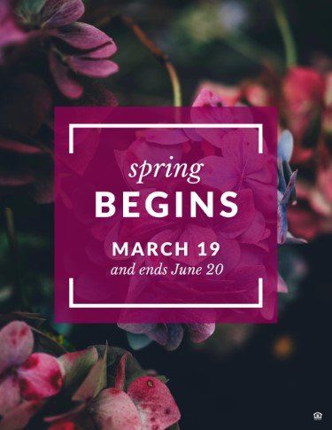 CA2454-Spring Begins.jpg