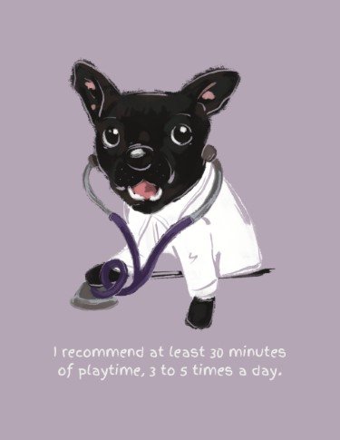 CA3158-Dogtor More Playtime.jpg