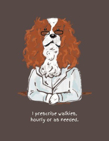 CA3159-Dogtor More Walks.jpg