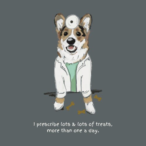 CAIG2263-Dogtor More Treats.jpg