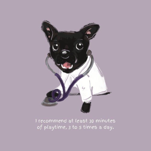 CAIG2264-Dogtor More Playtime.jpg