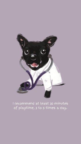 CAIGS1664-Dogtor More Playtime.jpg