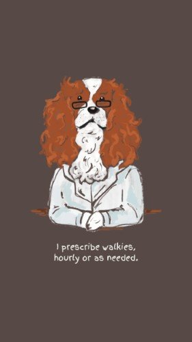CAIGS1665-Dogtor More Walks .jpg