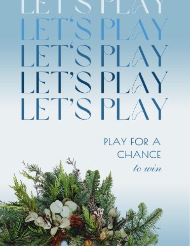 CA3193-Snow Globe Play to Win.jpg