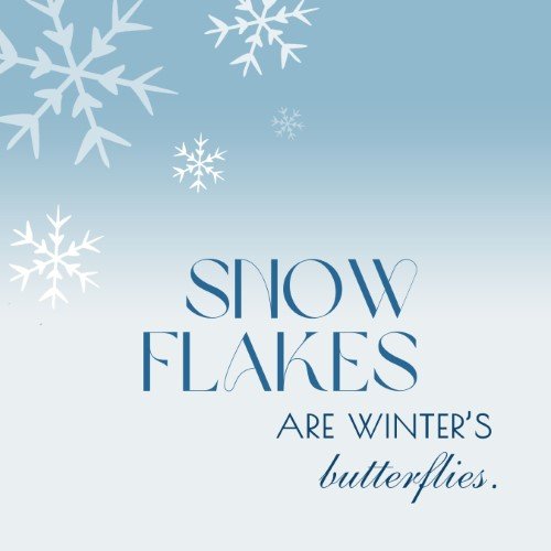 CAIG2308-Snow Globe Winter's Butterflies.jpg