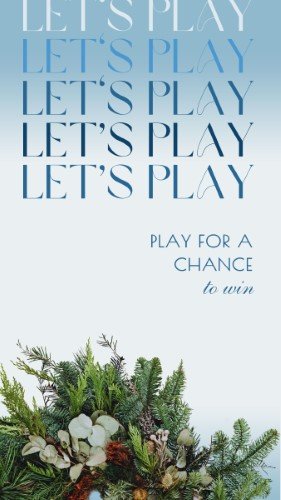 CAIGS1709-Snow Globe Play to Win.jpg