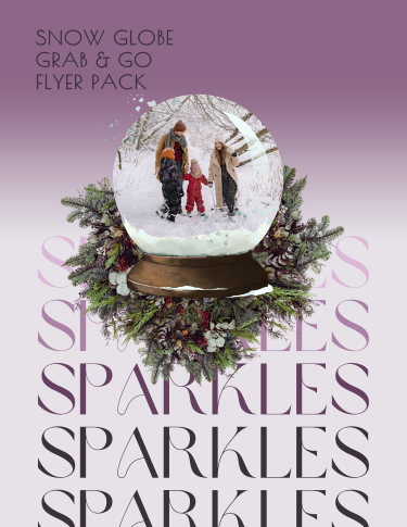 CA3202-Grab & Go Snow Globe Pack.png