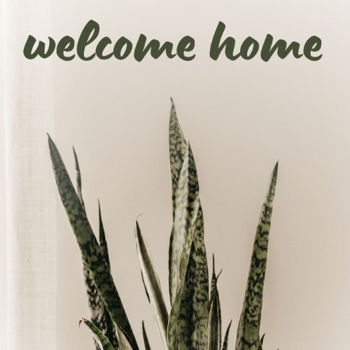 CAIG2349-Plant Welcome Home.jpg